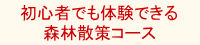 初心者でも体験できる 森林散策コース