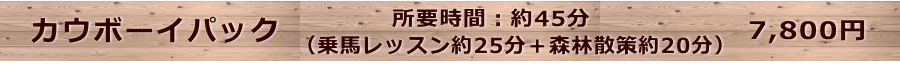 (乗馬レッスン約25分+森林散策約20分)