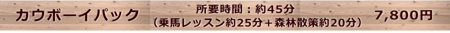 （乗馬レッスン約25分＋森林散策約20分）