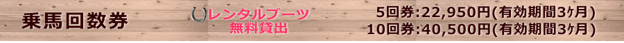 所要時間:約15分
