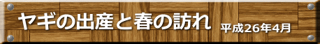 平成26年4月　