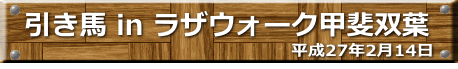 平成27年2月14日　