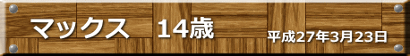 平成27年3月23日