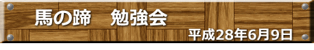 平成28年6月9日