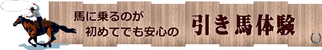 初心者でも 　体験できる