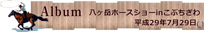 平成29年7月29日