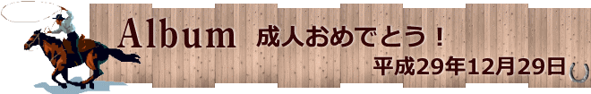 平成29年12月29日