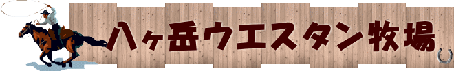 初心者でも 　体験できる