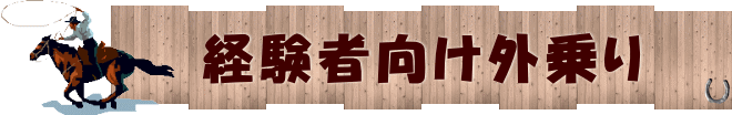 初心者でも 　体験できる