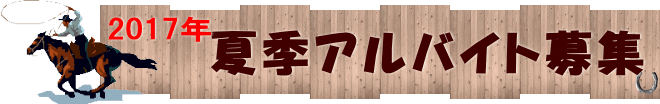 初心者でも 　体験できる