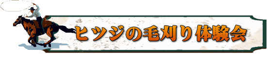 ヒツジの毛刈り体験会