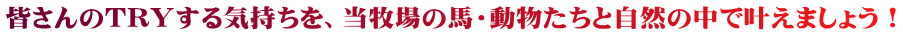 皆さんのTRYする気持ちを、当牧場の馬・動物たちと自然の中で叶えましょう!