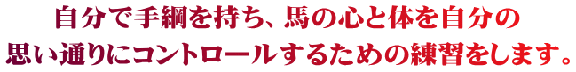 自分で手綱を持ち、馬の心と体を自分の 思い通りにコントロールするための練習をします。